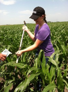 Crystal Dau collects soil samples as a part of her internship for Monsanto. 