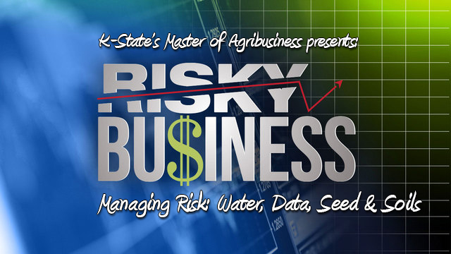 Risky Business Logo