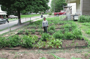 Chammi Attanayake, former Agronomy graduate student, at the urban garden site in the Washington Wheatley area of Kansas City