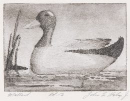 John Frederick Helm Jr.'s "Mallard," from 1939, is an aquatint with drypoint on paper. The work is part of the museum's new virtual exhibition "Two by Two: Animal Pairs."