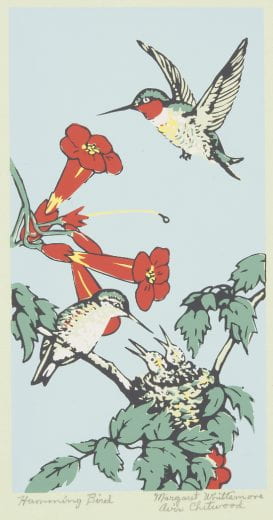 Screenprint entitled "Humming Bird" by Avis Chitwood and Margaret Evelyn Whittemore from the collection of the Beach Museum of Art. Showing one humming bird at a flower and another about to feed baby humming birds in the nest.