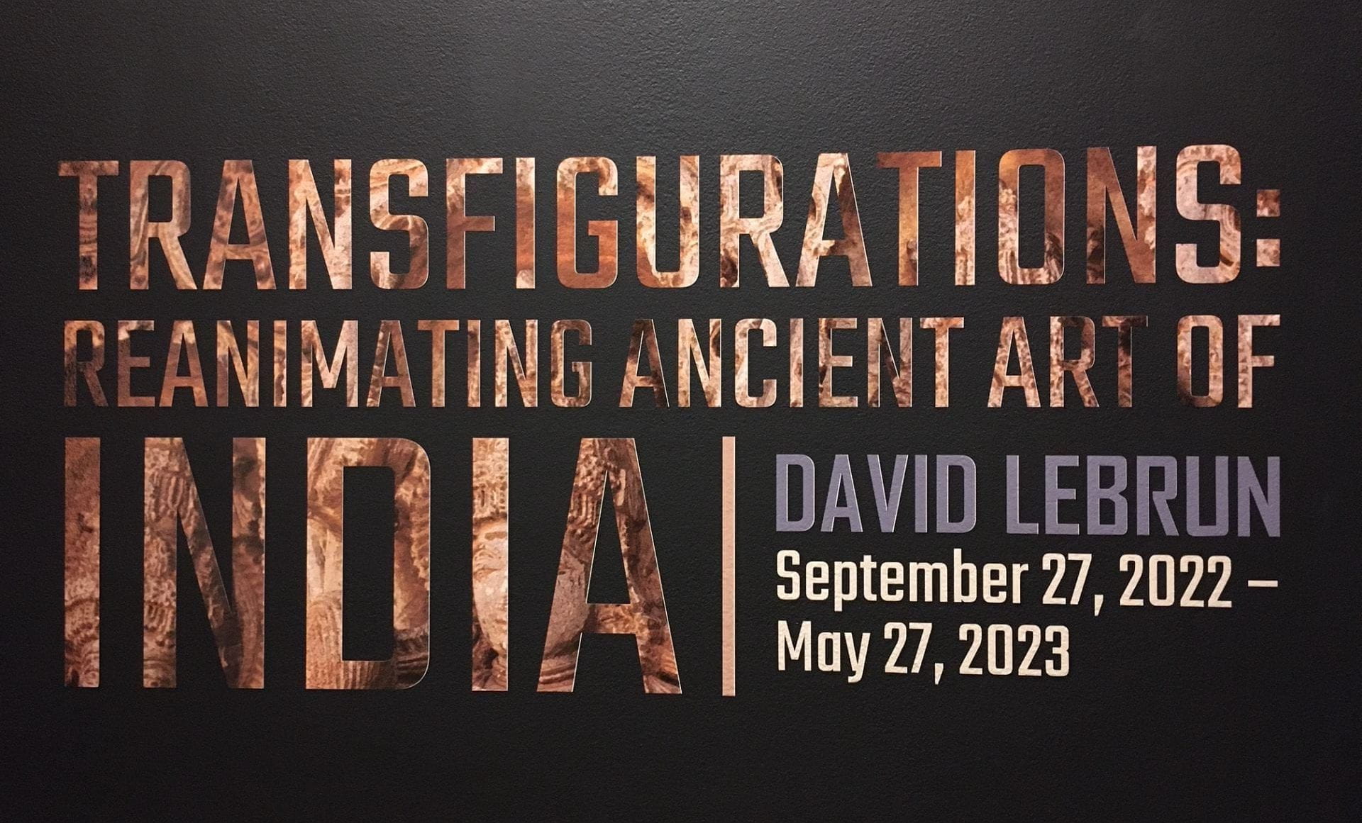 Transfigurations: Reanimating Ancient Art of India by David Lebrun, gallery title wall photo
