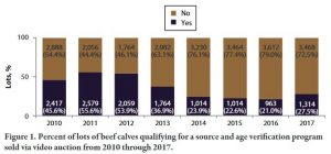 % of beef lots qualifying for age and source verification