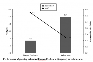 F:G and ADG of calves fed Enogen Feed corn