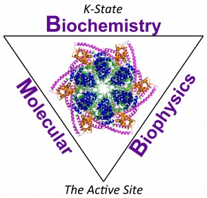 K-State Biochemistry and Molecular Biophysics, The Active Site