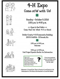 4h-expo-flyer