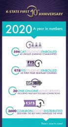 2020 By the Numbers Infographic