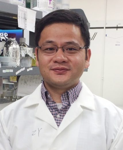 Dr. Zhilong Yang