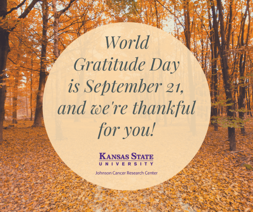 Image of fall leaves and message saying World Gratitude Day is Sept 21, and we're thankful for you!
