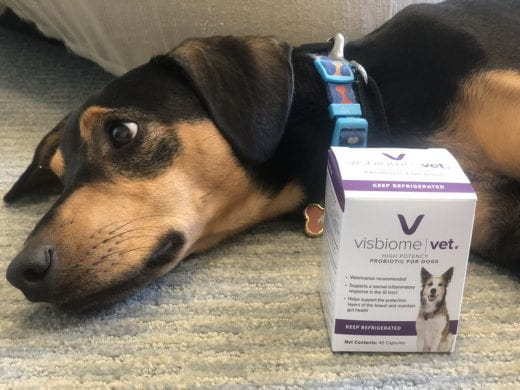 dog pictured with box of Visbiome