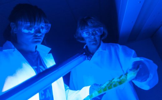 Two scientists examine samples in a lab