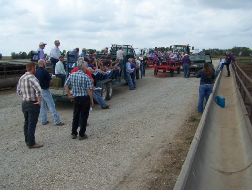 Large group at the feedlot field day