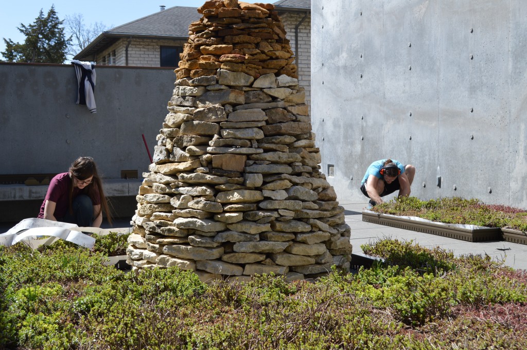 LA and Art students install green roof_krehbiel