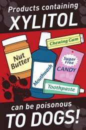 Xylitol and Dogs