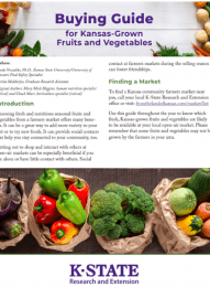 Buying Guide Produce