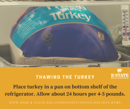 thawing turkey